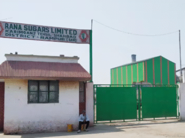 Rana Sugars Hiring Electrical Manager – Distillery Plant Amritsar 2025